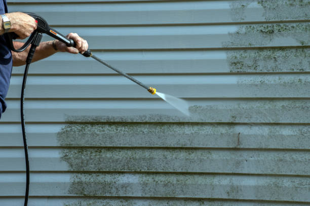 Best Roof Washing  in Clermont, GA